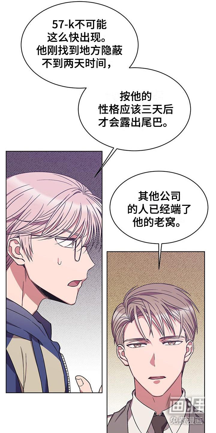 第15章：胡思乱想