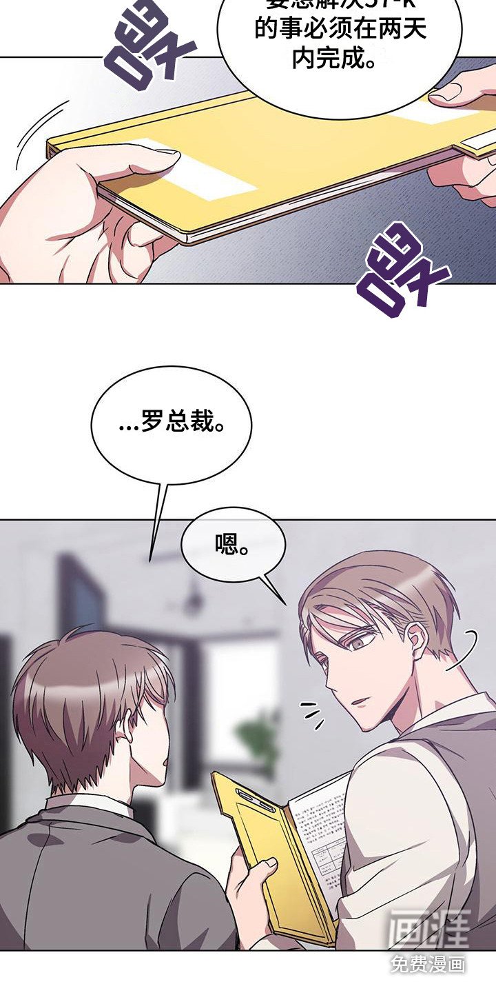 第17章：B组