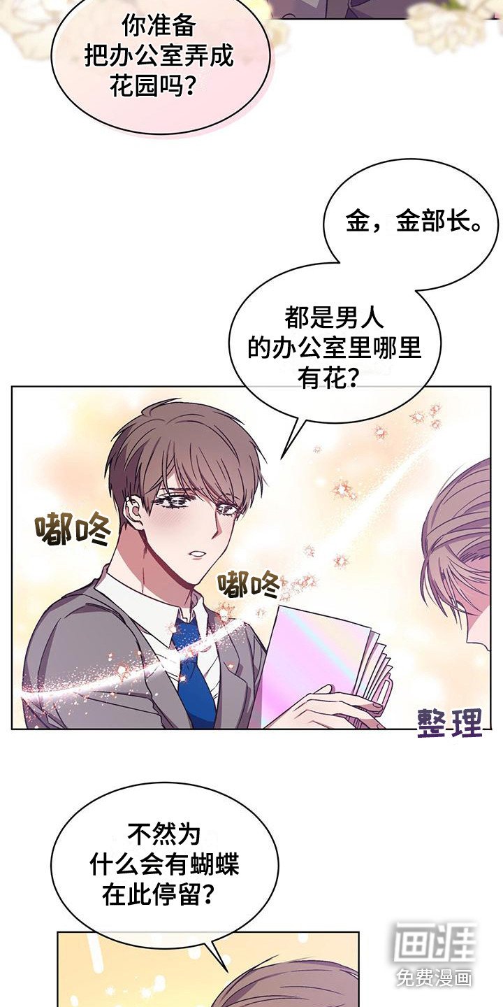 第6章：小说