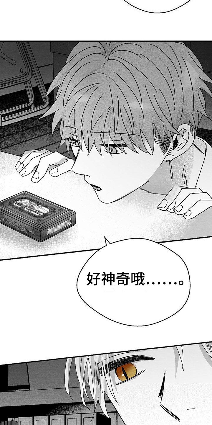 第1章：小盒子