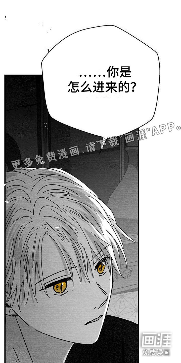 第11章：被打晕
