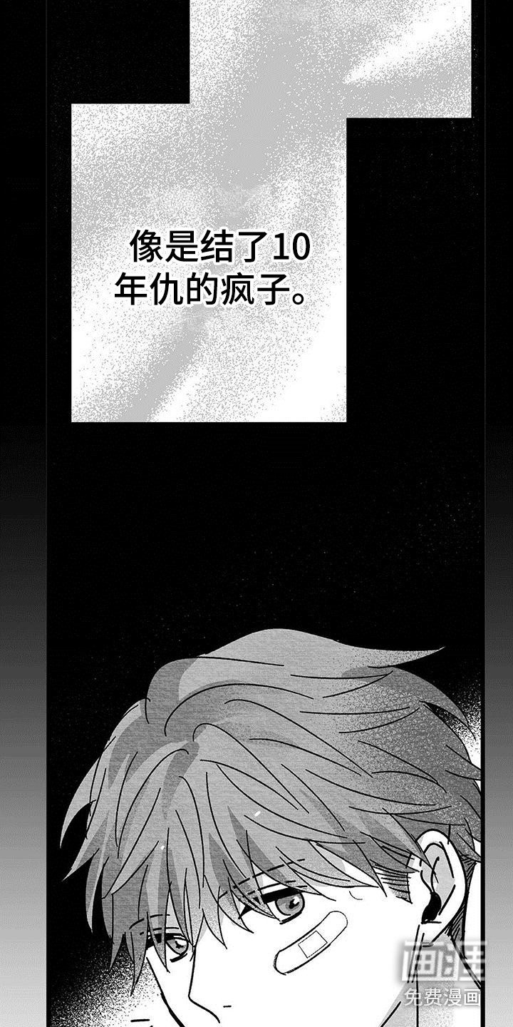 第17章：老实作答