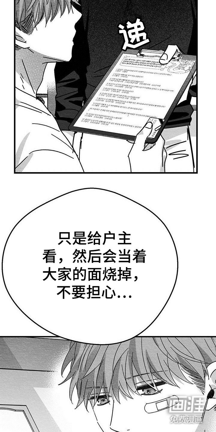 第17章：老实作答