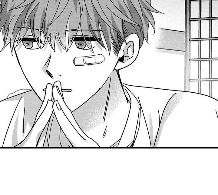 第17章：老实作答