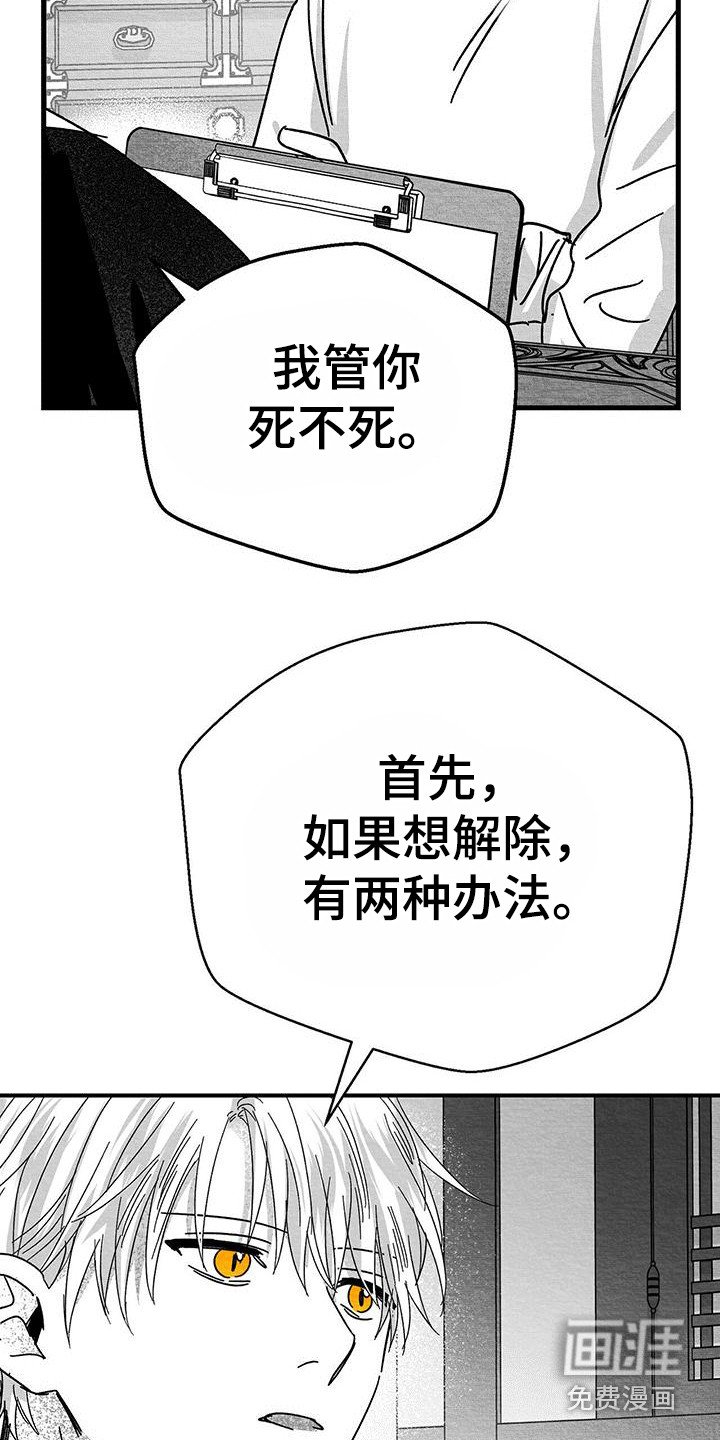 第19章：解除方法