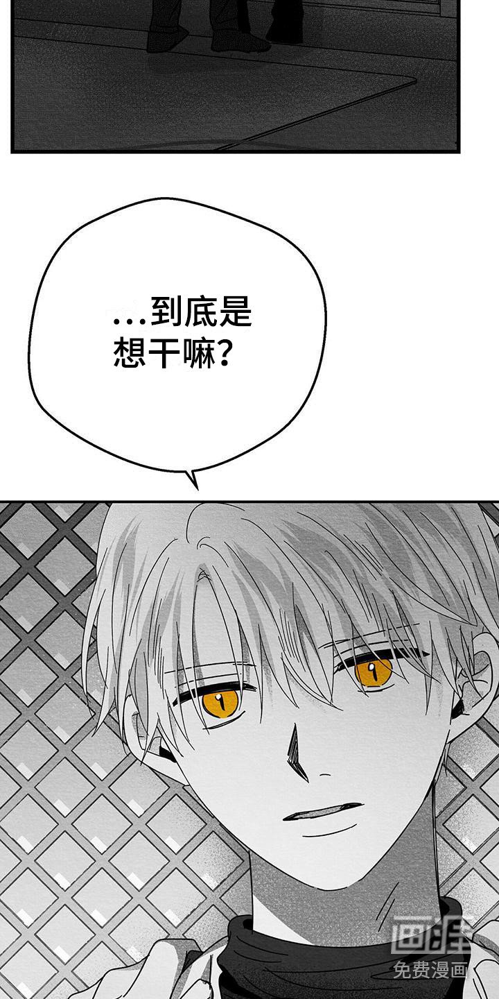 第19章：解除方法