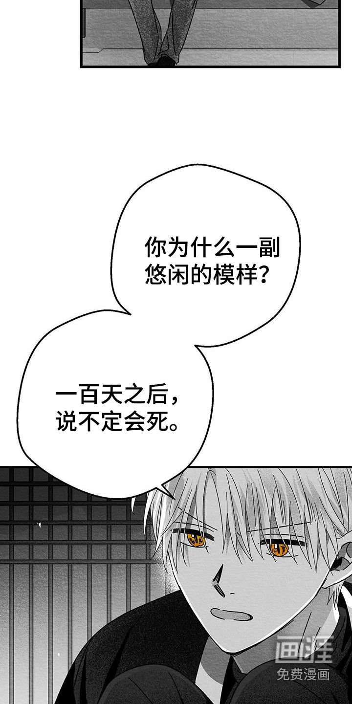 第22章：兴趣