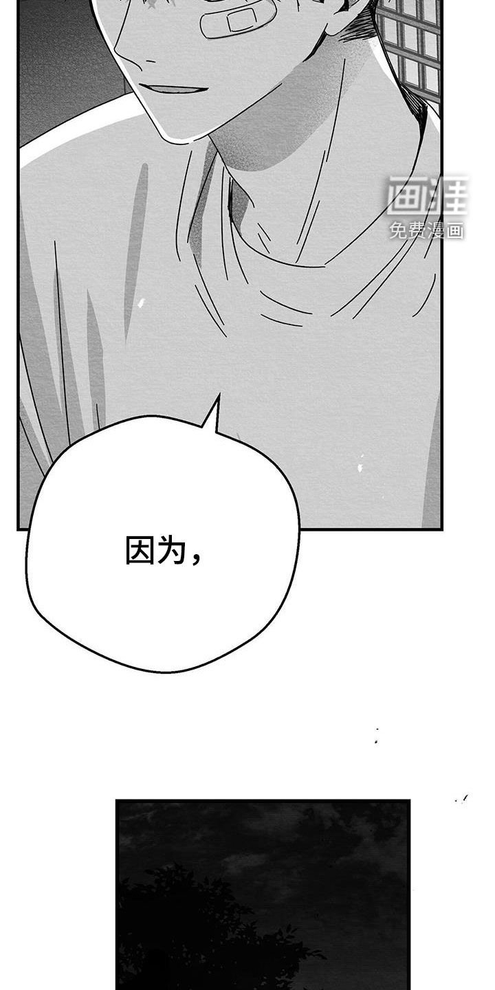 第22章：兴趣