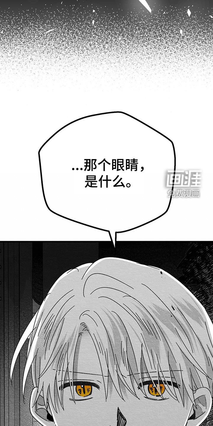 第22章：兴趣