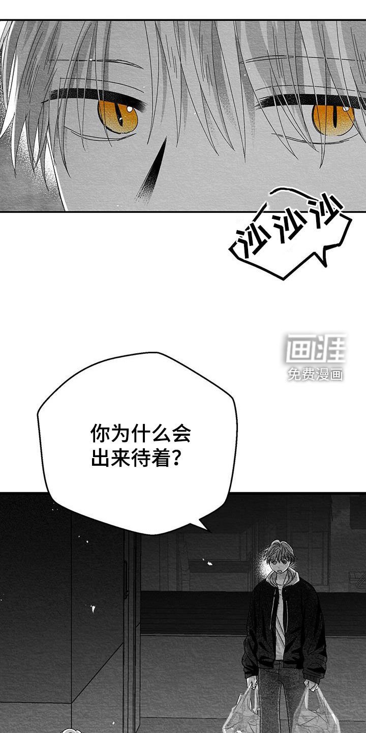 第26章：善变