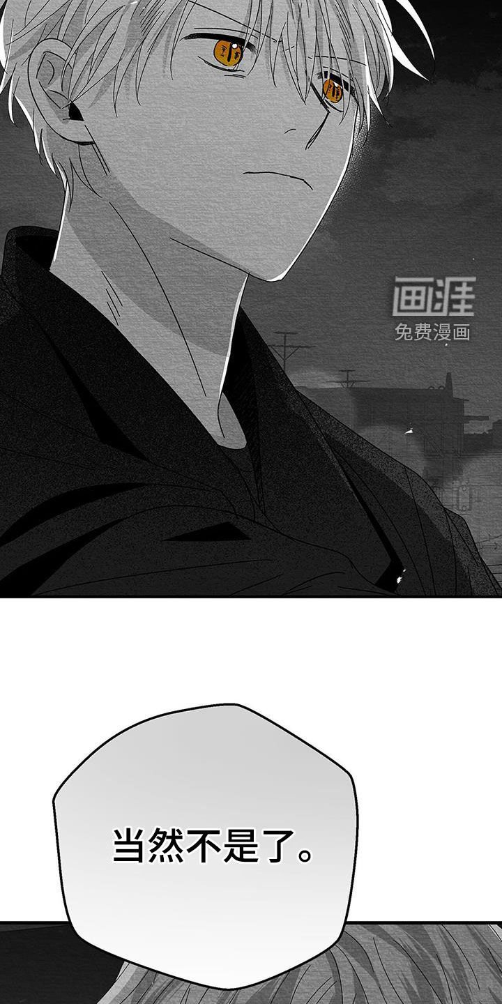 第26章：善变