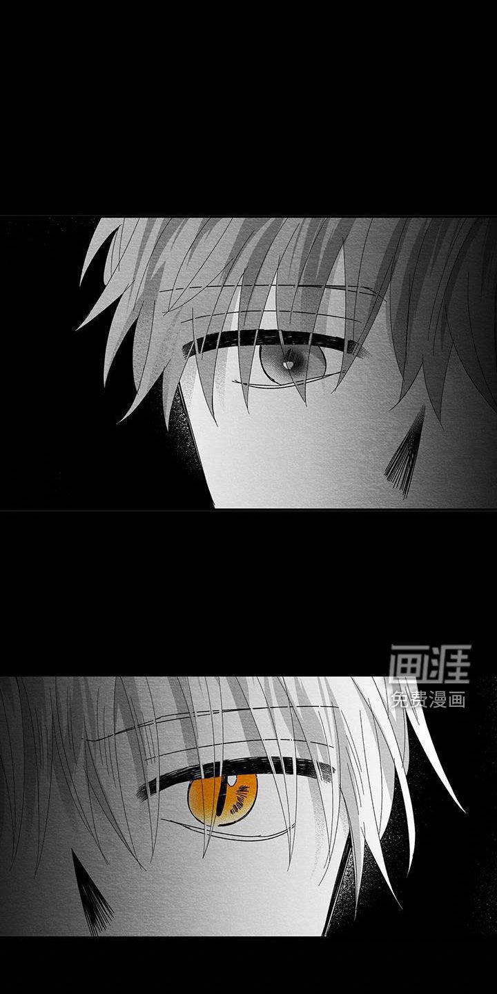第26章：善变