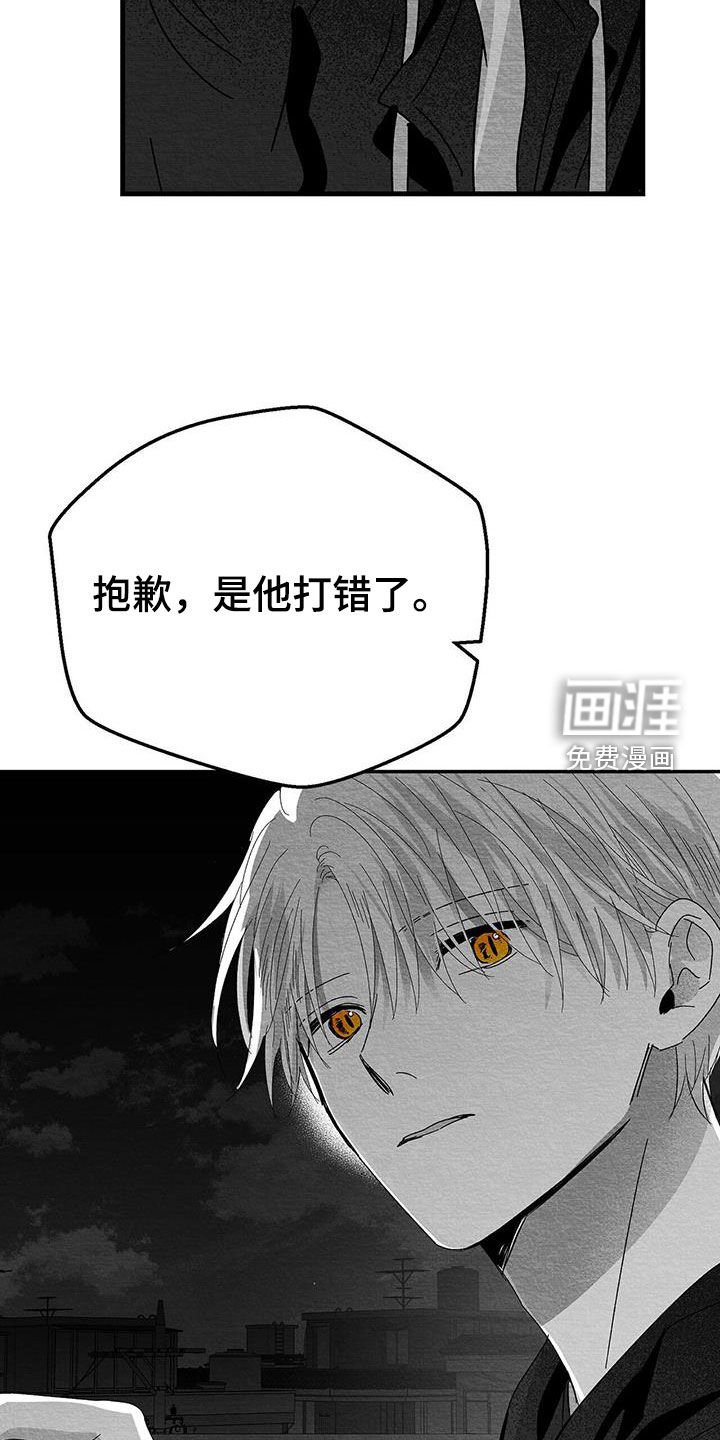 第27章：是诅咒吗
