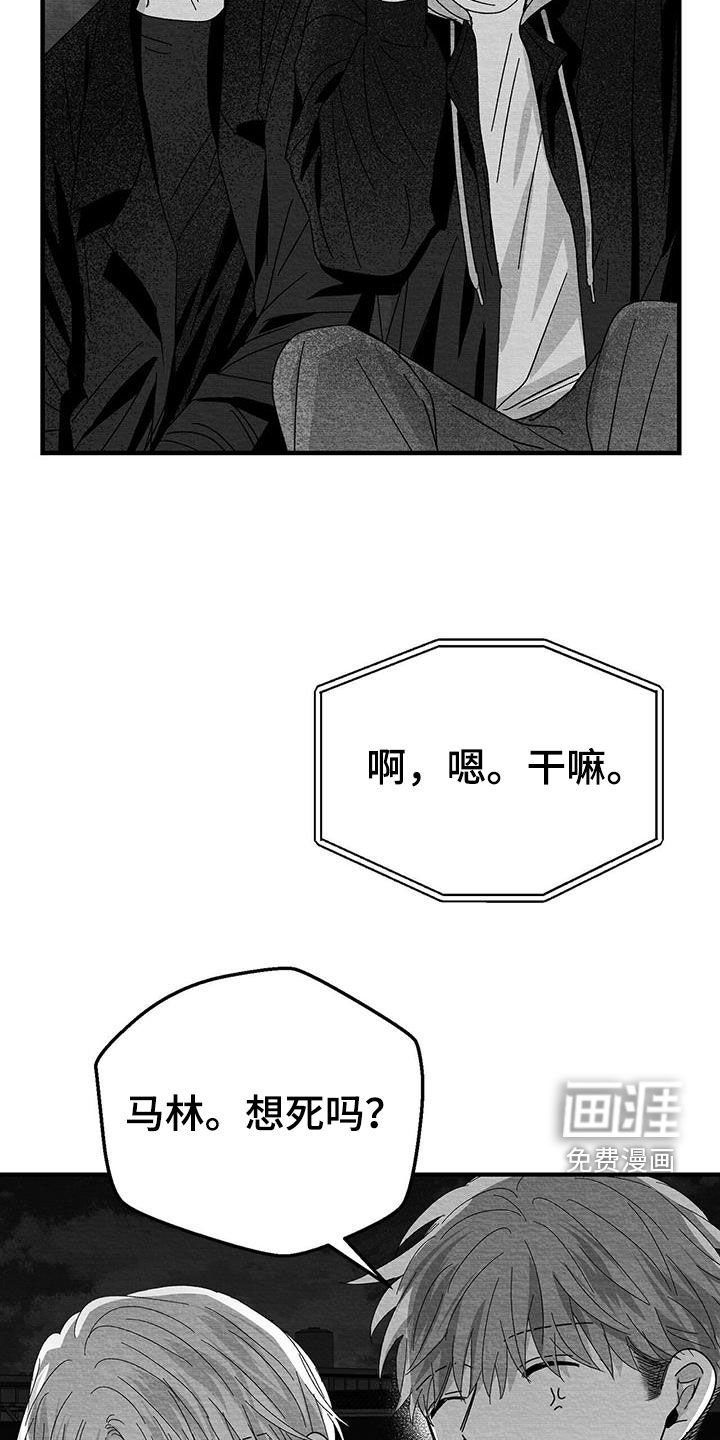 第27章：是诅咒吗