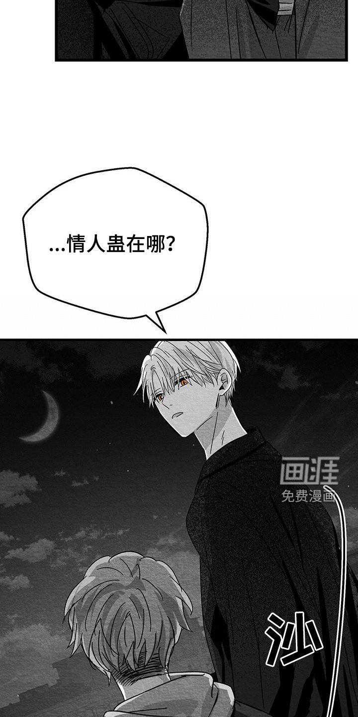 第27章：是诅咒吗