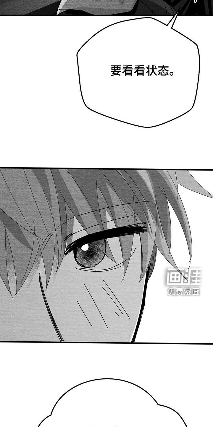 第27章：是诅咒吗