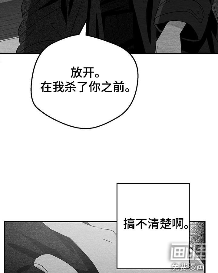 第27章：是诅咒吗