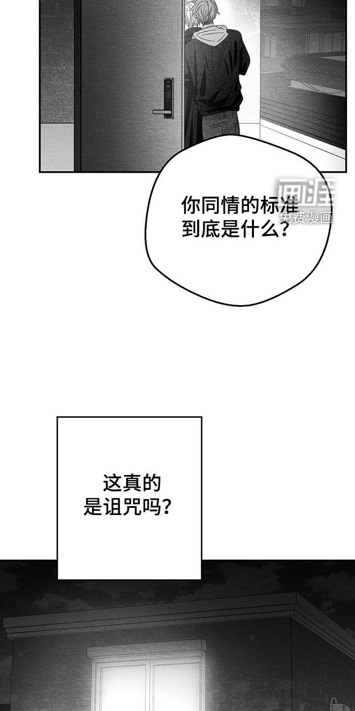 第27章：是诅咒吗