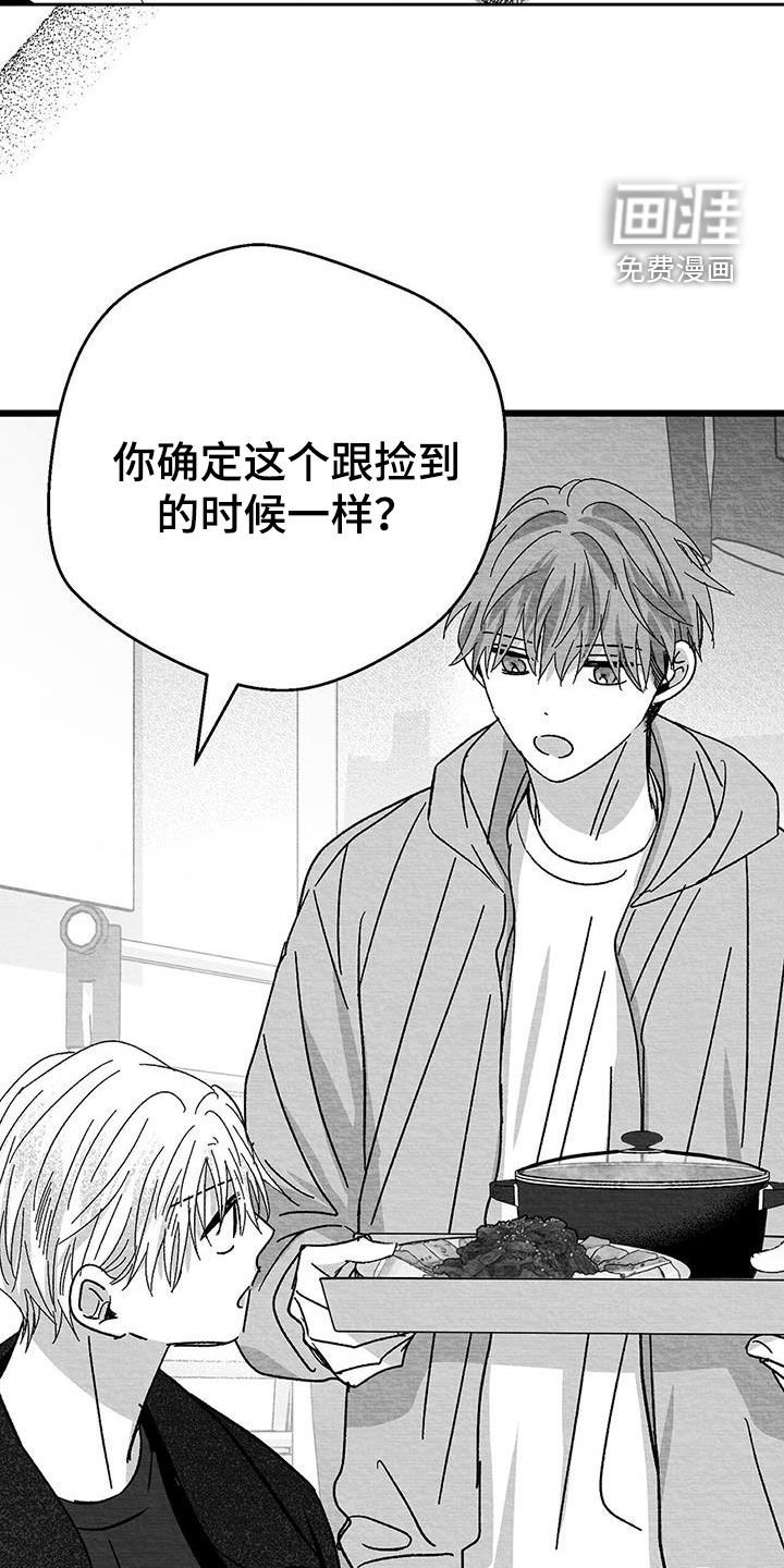 第28章：变数