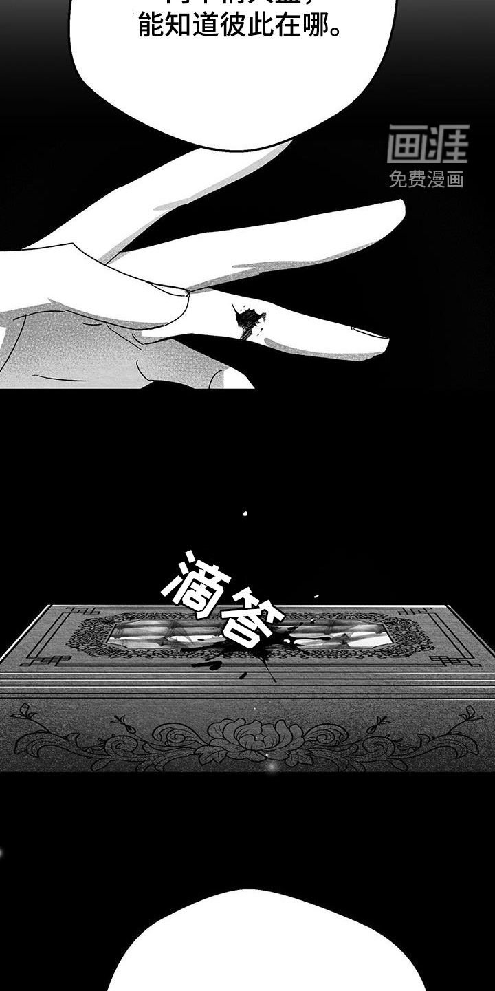 第28章：变数