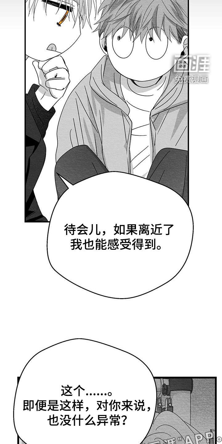 第28章：变数