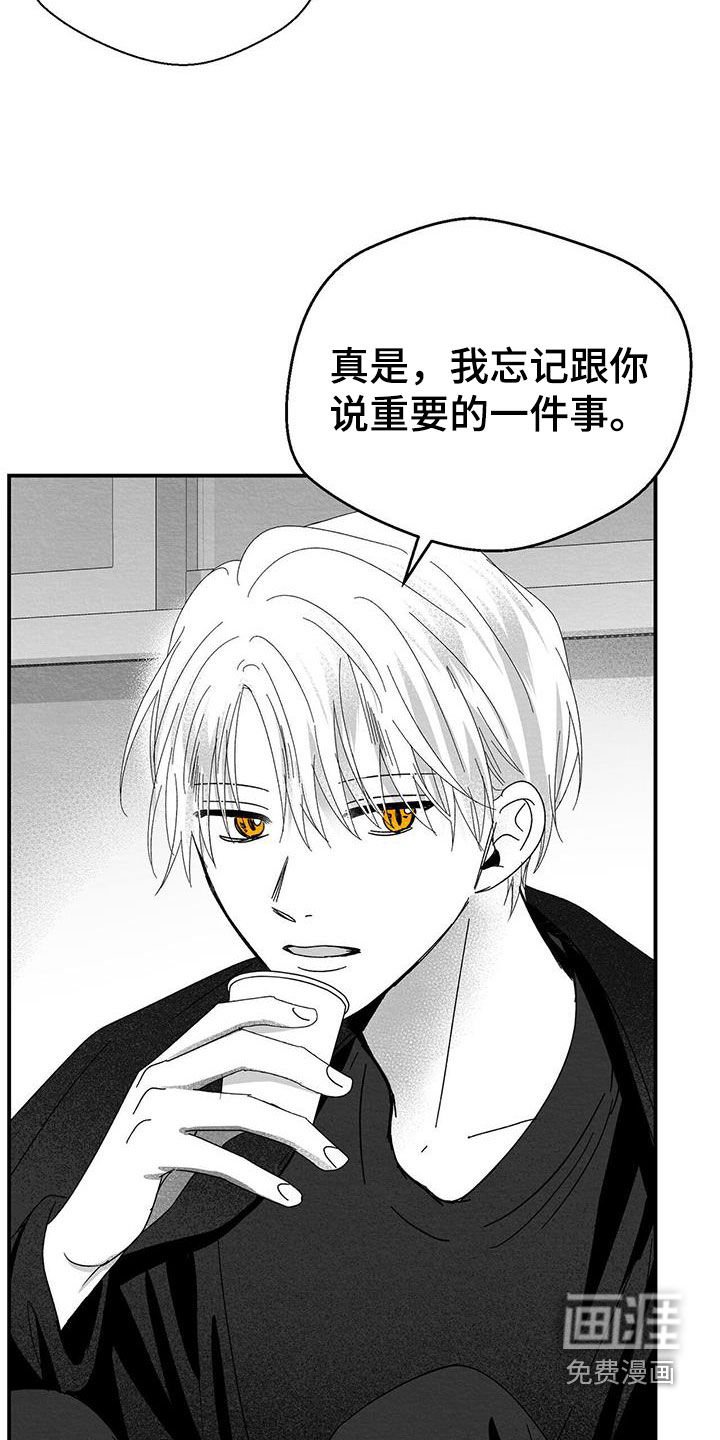 第28章：变数