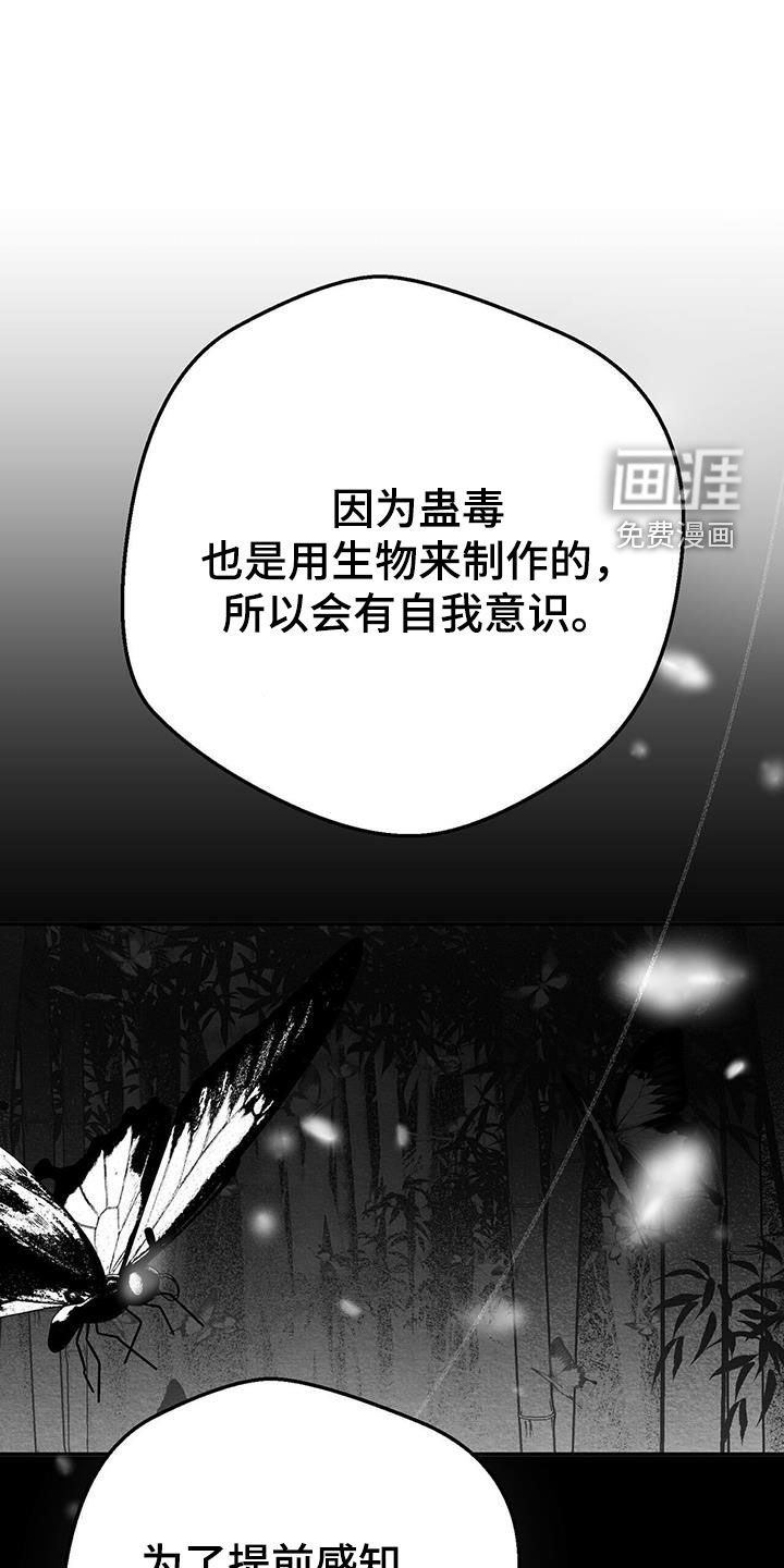 第28章：变数