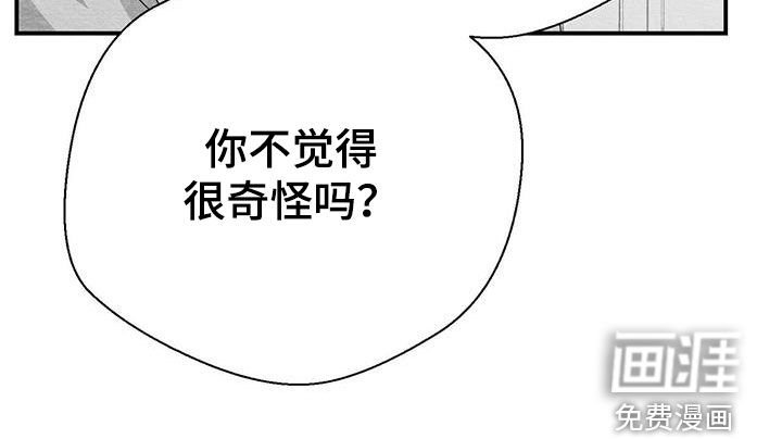 第28章：变数
