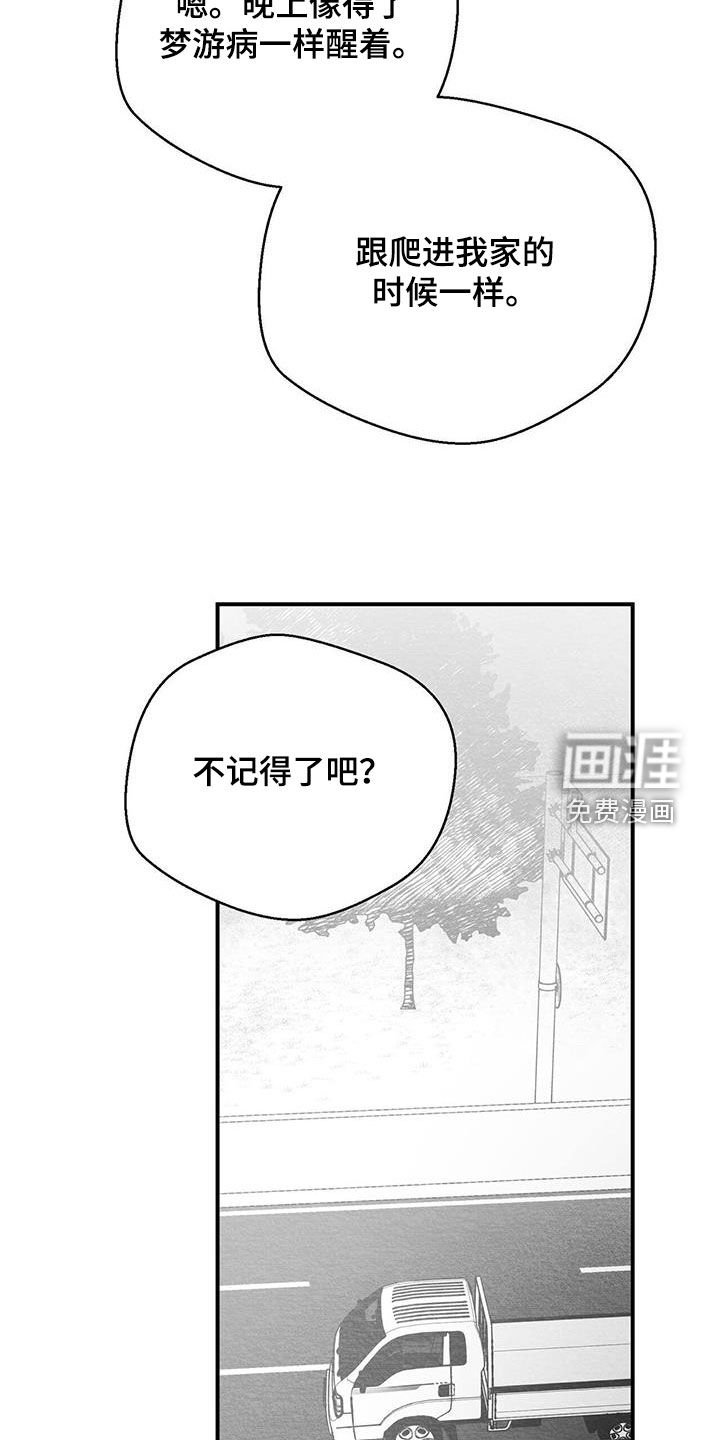 第30章：不记得了
