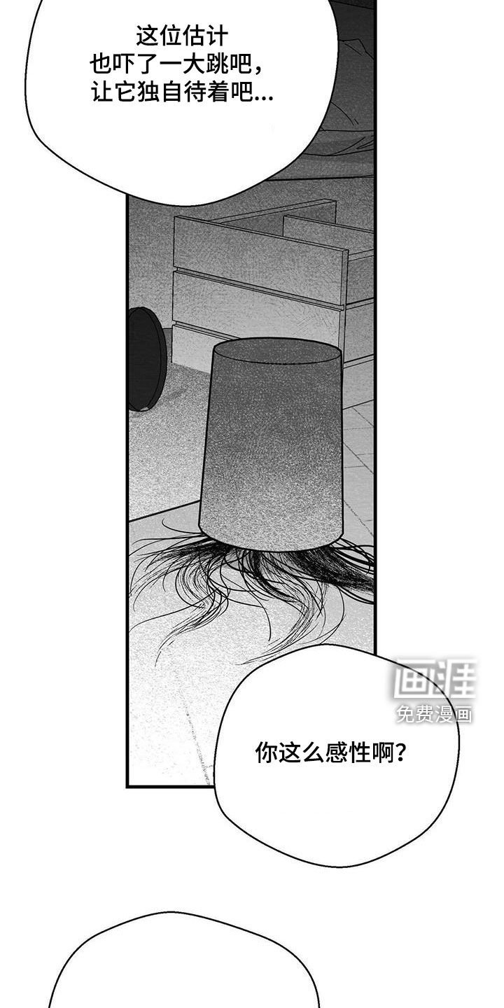 第32章：信封