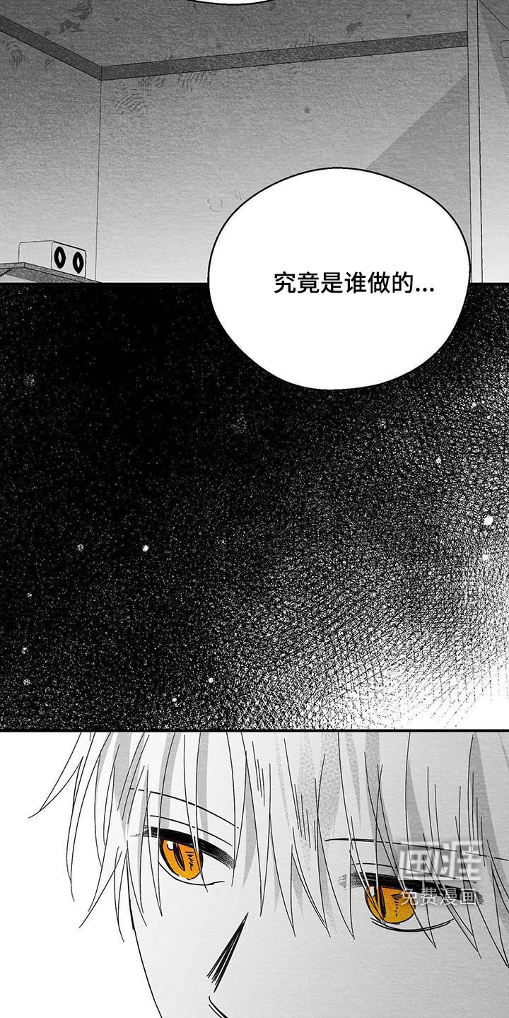 第34章：尸体