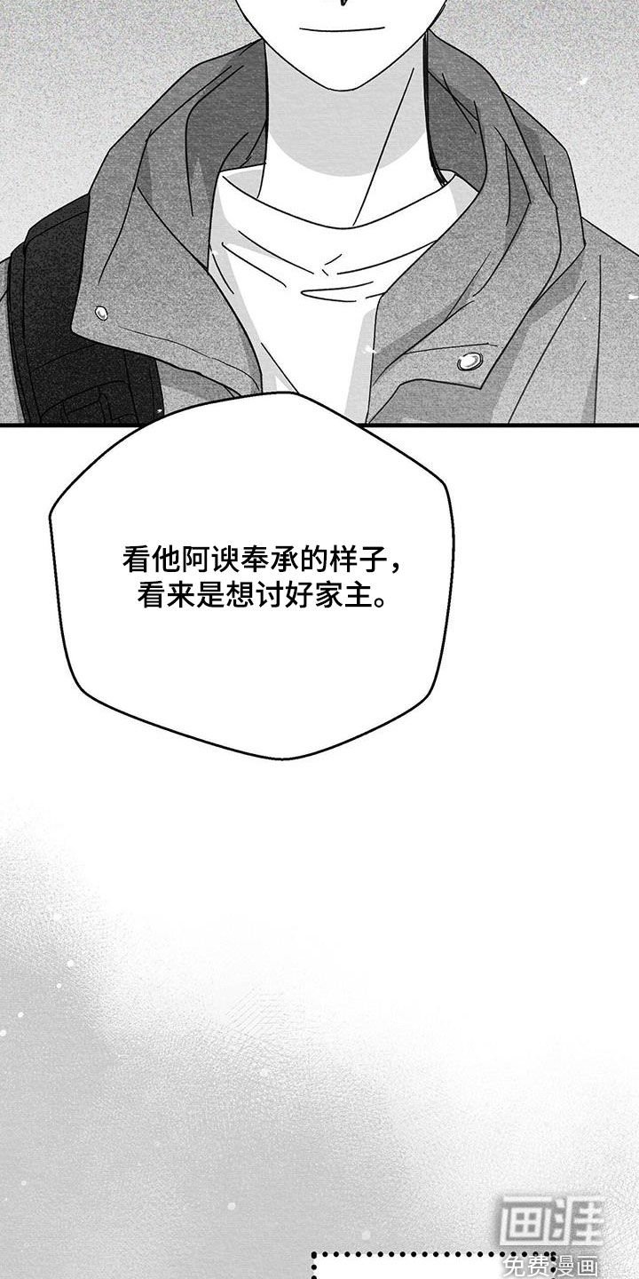 第42章：贵客