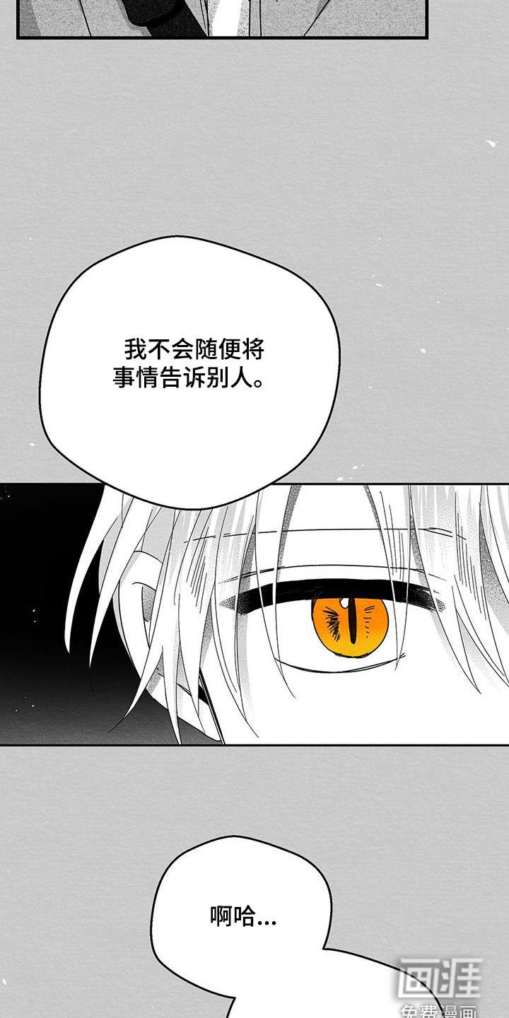 第42章：贵客