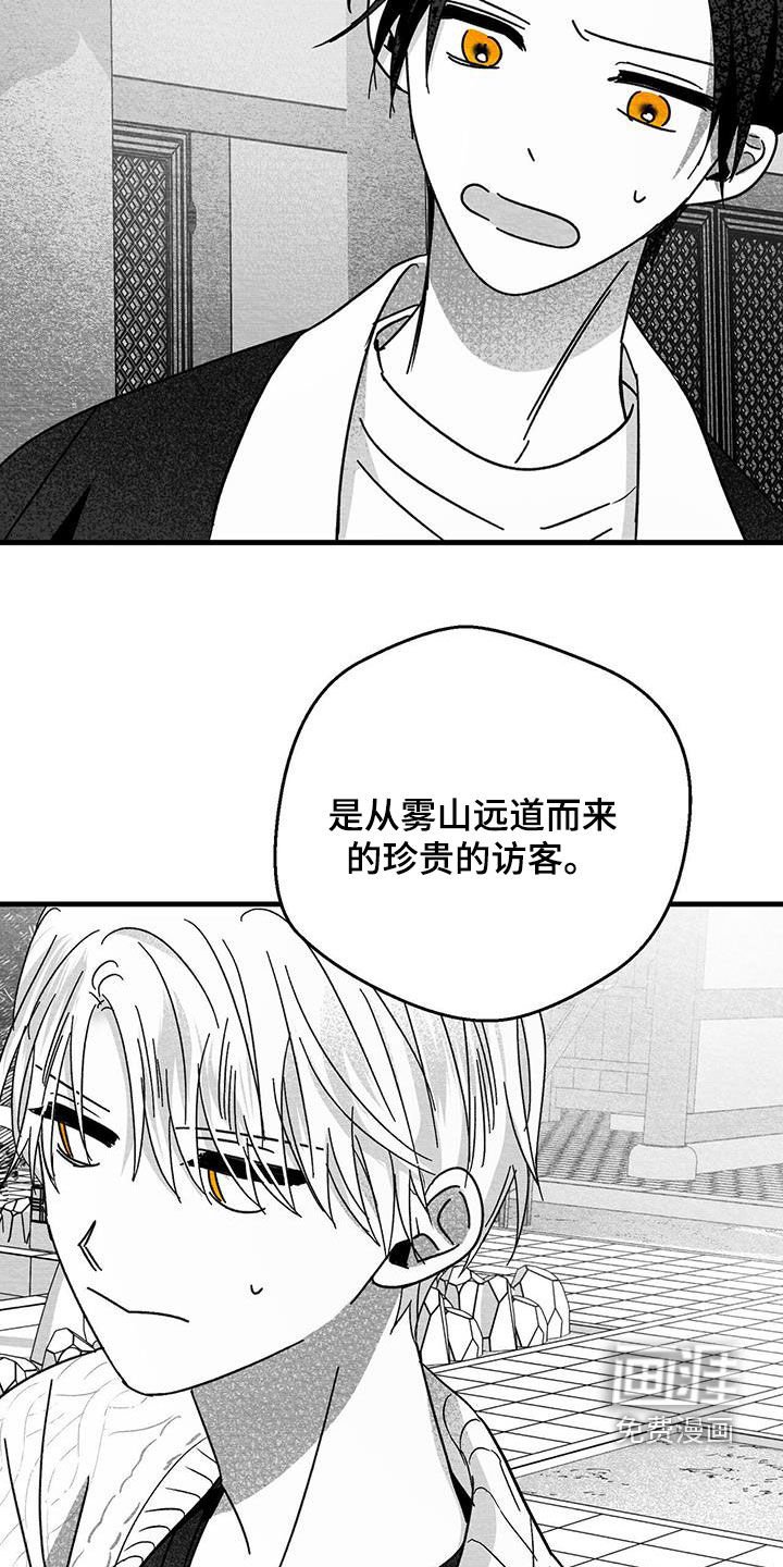 第42章：贵客