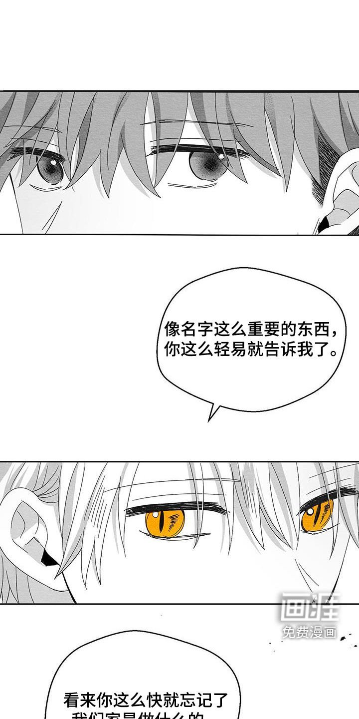 第47章：装腔作势