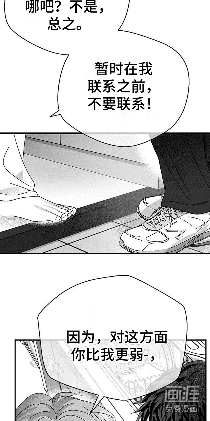 第5章：新闻报道
