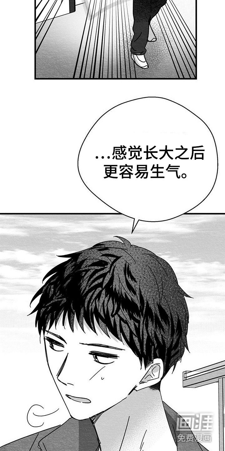 第5章：新闻报道