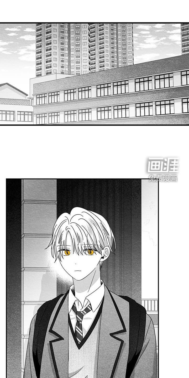 第51章：扇耳光