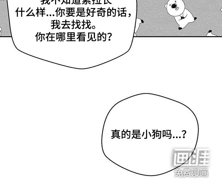 第53章：下次