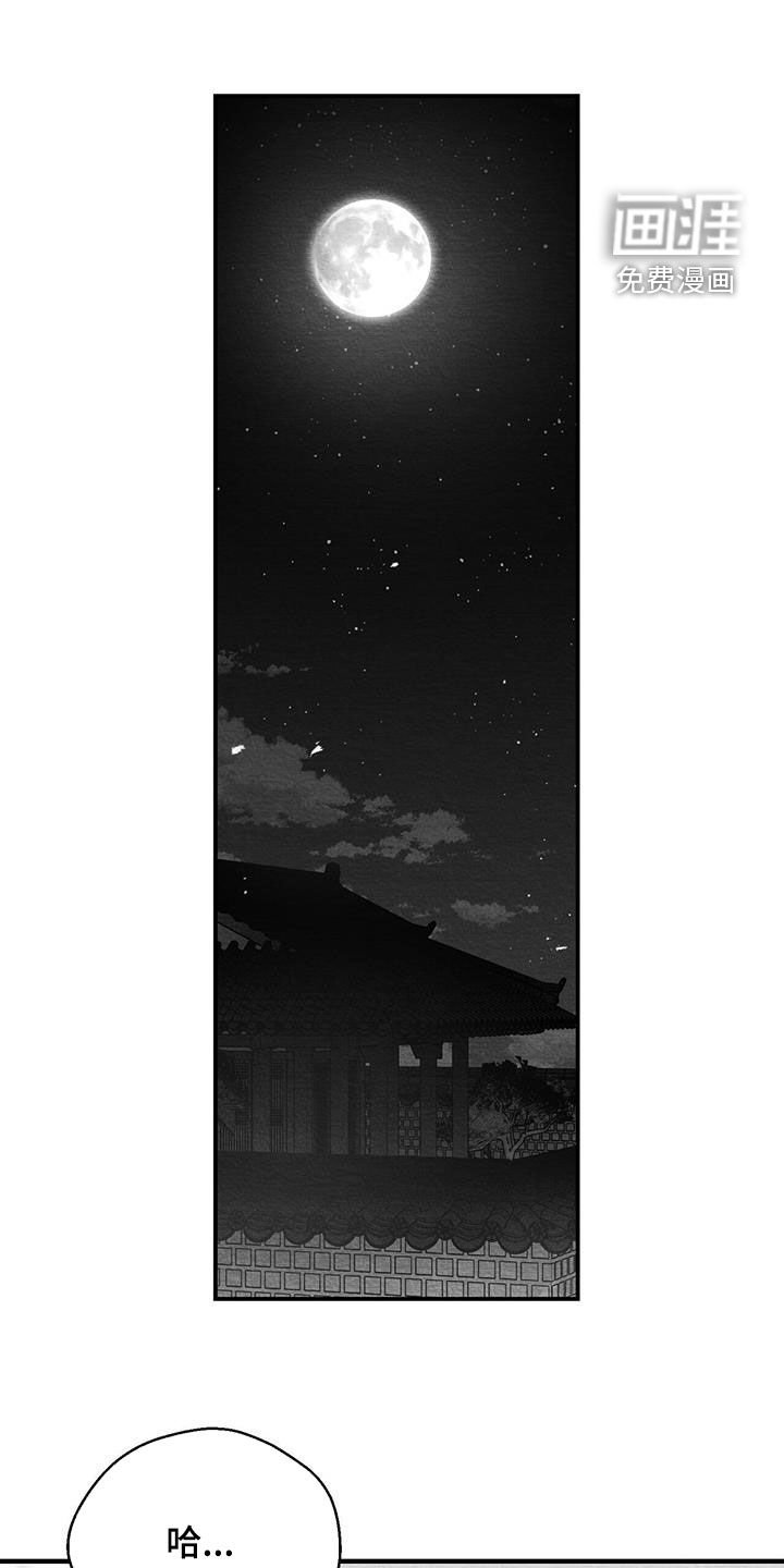 第56章：看什么都行
