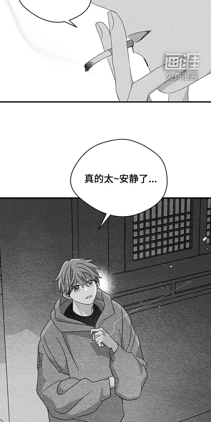 第56章：看什么都行