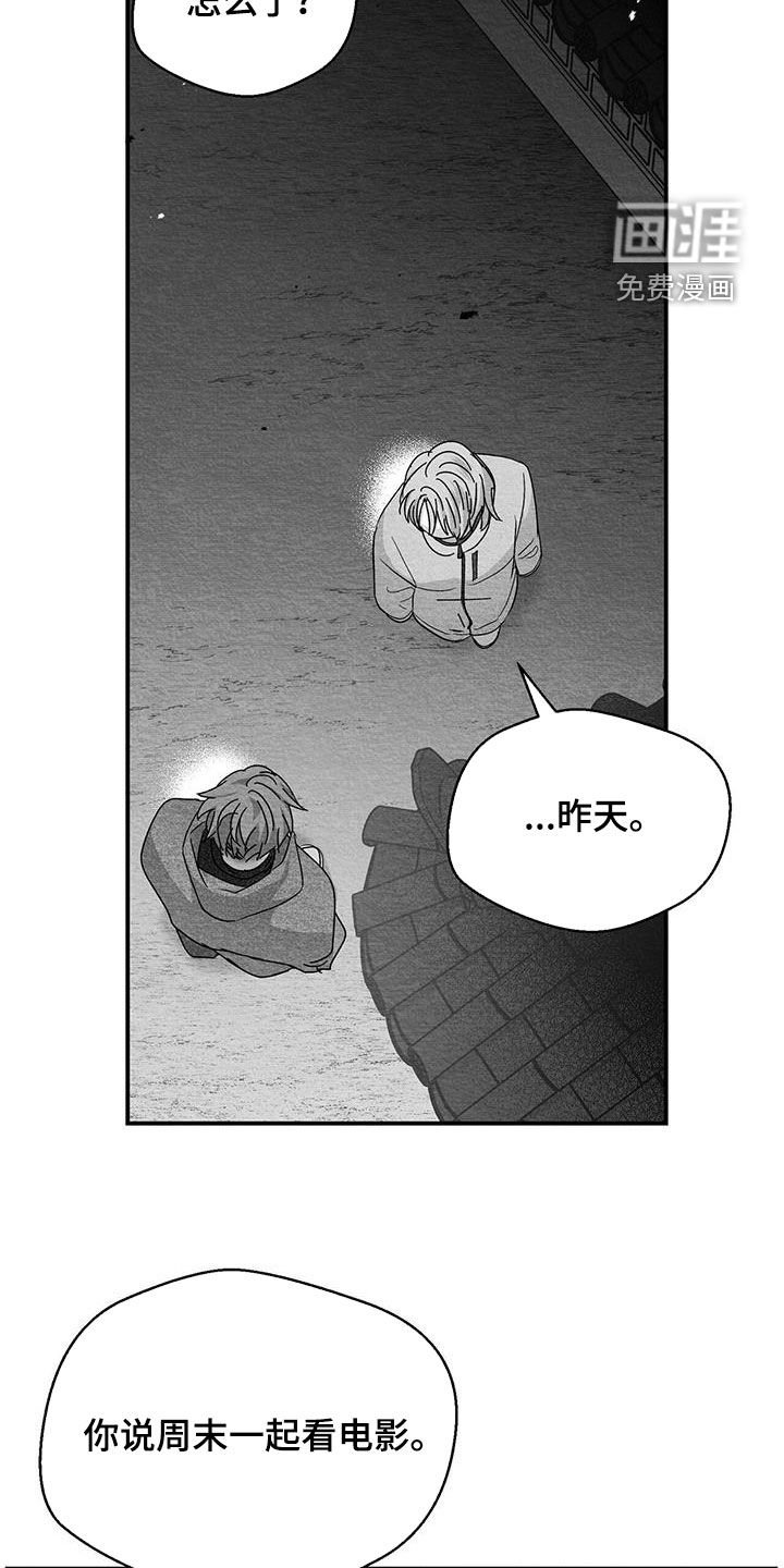 第56章：看什么都行