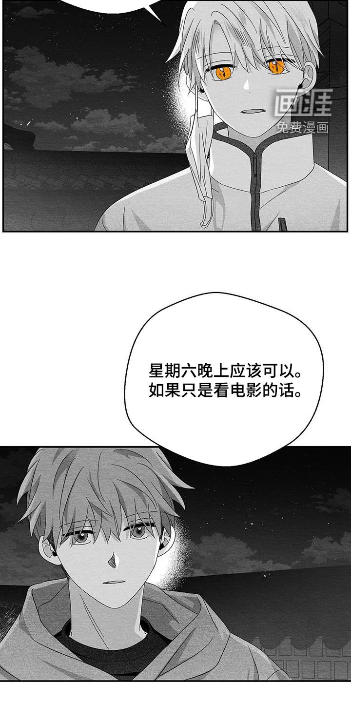 第56章：看什么都行