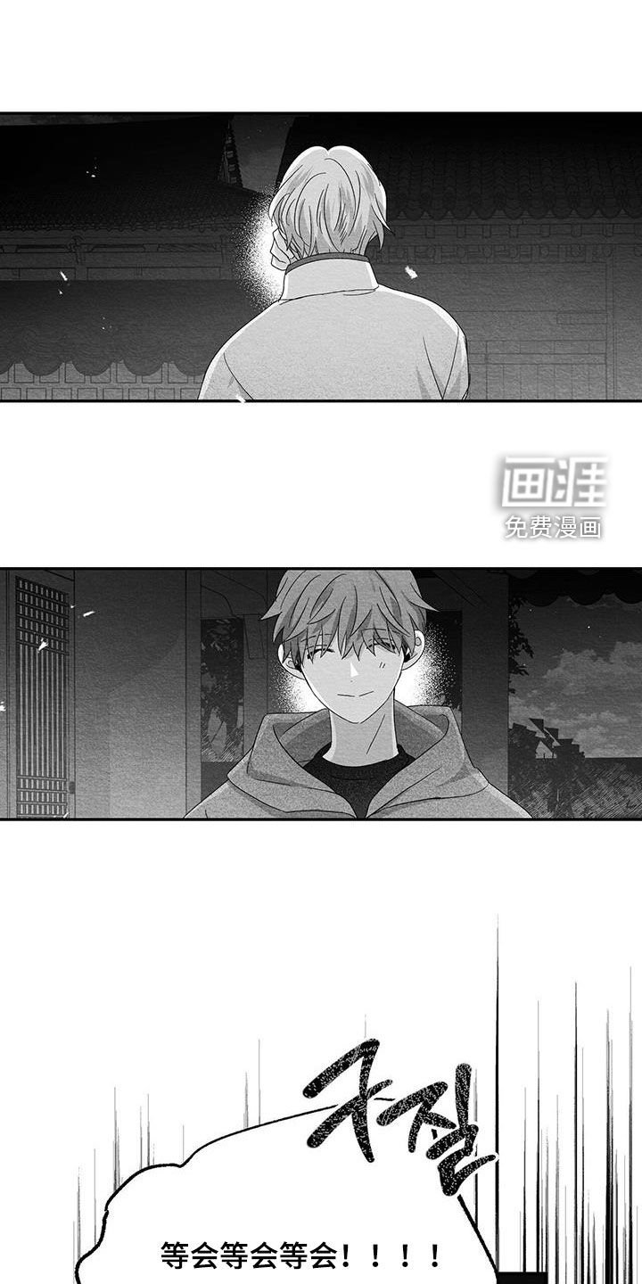 第56章：看什么都行