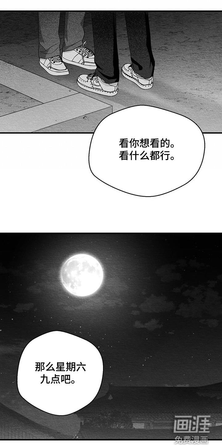 第56章：看什么都行