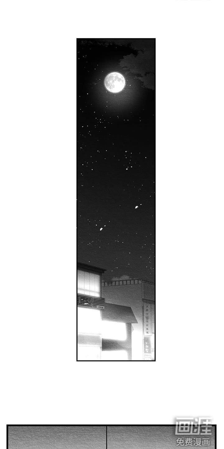 第56章：看什么都行