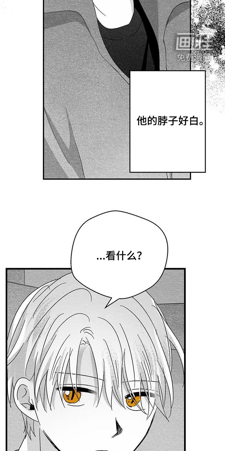 第57章：看电影