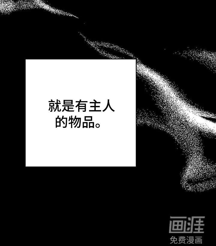 第59章：有主人的物品