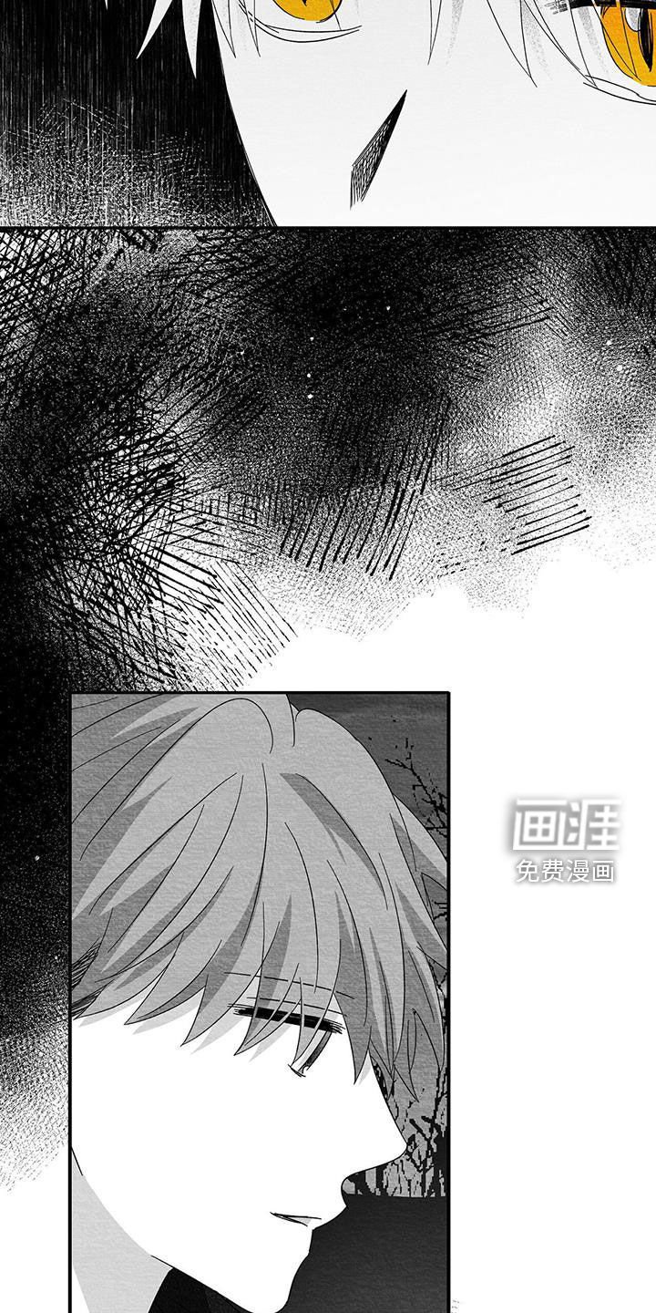 第61章：输得彻底