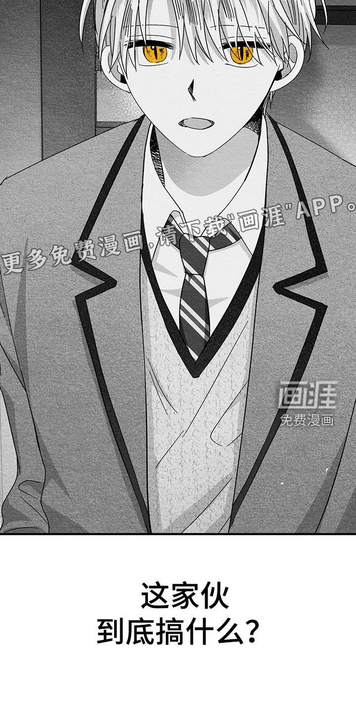 第65章：接吻